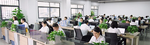 专业服务团队